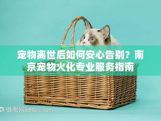 宠物离世后如何安心告别？南京宠物火化专业服务指南