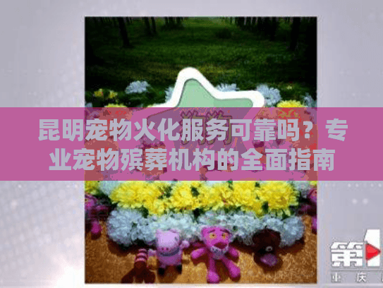 昆明宠物火化服务可靠吗？专业宠物殡葬机构的全面指南