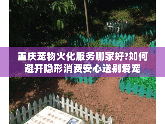 重庆宠物火化服务哪家好?如何避开隐形消费安心送别爱宠