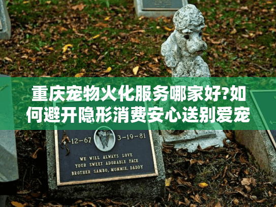 重庆宠物火化服务哪家好?如何避开隐形消费安心送别爱宠