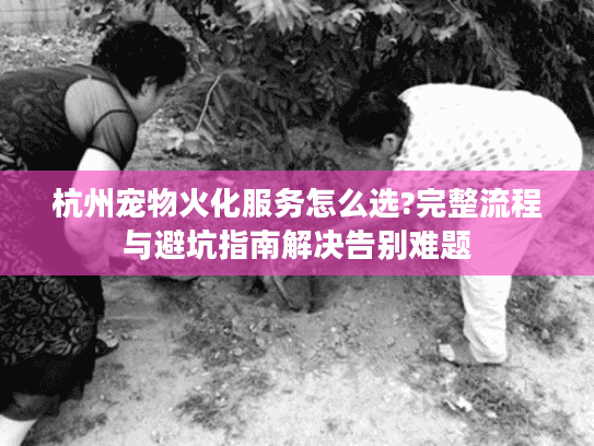 杭州宠物火化服务怎么选?完整流程与避坑指南解决告别难题