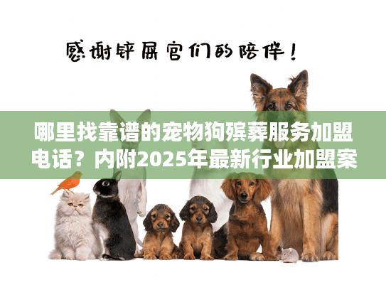 哪里找靠谱的宠物狗殡葬服务加盟电话？内附2025年最新行业加盟案例！