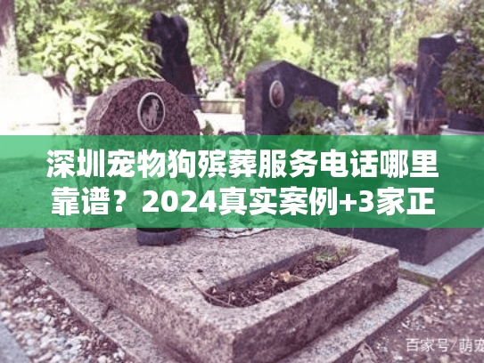深圳宠物狗殡葬服务电话哪里靠谱？2024真实案例+3家正规机构联系方式速存