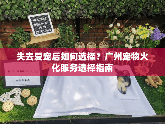 失去爱宠后如何选择？广州宠物火化服务选择指南