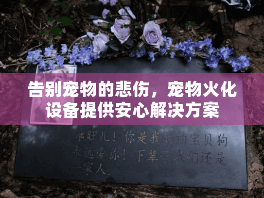 告别宠物的悲伤，宠物火化设备提供安心解决方案