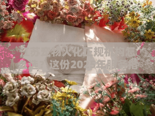 江苏宠物火化正规机构怎么选？这份2025年服务指南请收好