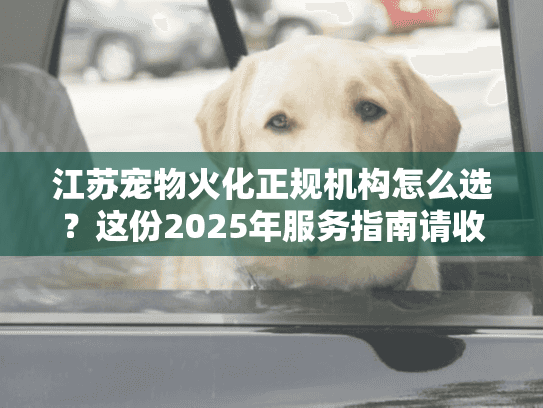 江苏宠物火化正规机构怎么选？这份2025年服务指南请收好