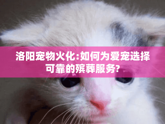 洛阳宠物火化:如何为爱宠选择可靠的殡葬服务?