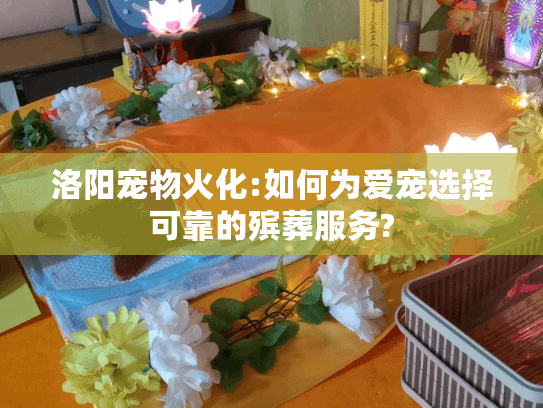 洛阳宠物火化:如何为爱宠选择可靠的殡葬服务?