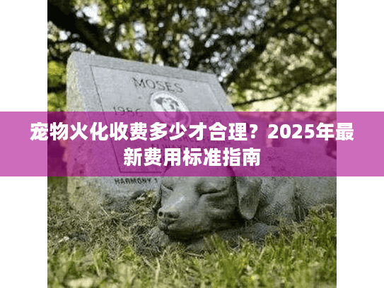 宠物火化收费多少才合理？2025年最新费用标准指南