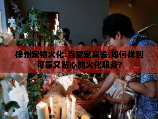 徐州宠物火化:当爱宠离去,如何找到可靠又贴心的火化服务?