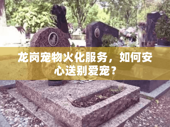 龙岗宠物火化服务，如何安心送别爱宠？