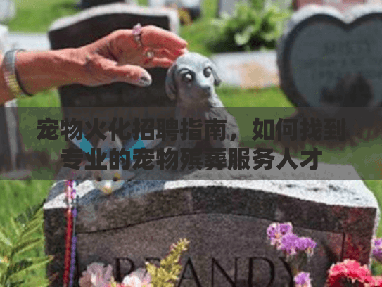 宠物火化招聘指南，如何找到专业的宠物殡葬服务人才