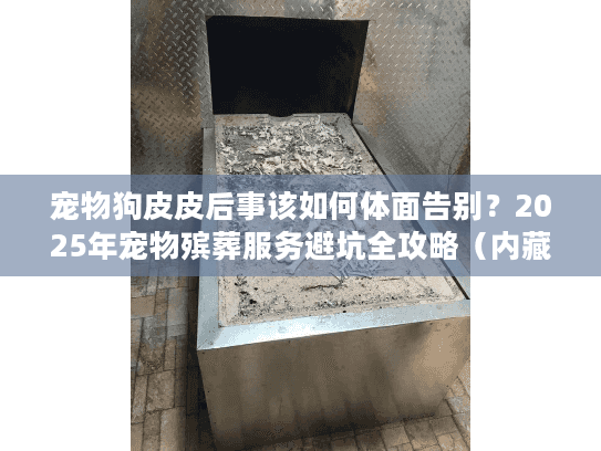 宠物狗皮皮后事该如何体面告别?2025年宠物殡葬服务避坑全攻略(内藏行业潜规则) 宠物狗皮皮后事该如何体面告别?2025年宠物殡葬服务避坑全攻略(内藏行业潜规则)