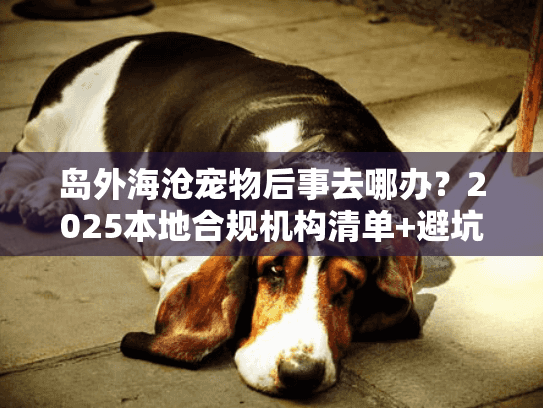 岛外海沧宠物后事去哪办？2025本地合规机构清单+避坑攻略（附真实案例）