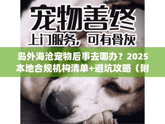 岛外海沧宠物后事去哪办？2025本地合规机构清单+避坑攻略（附真实案例）