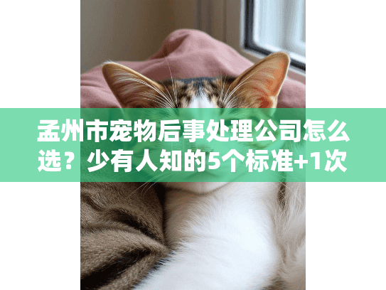 孟州市宠物后事处理公司怎么选？少有人知的5个标准+1次亲身经历分享