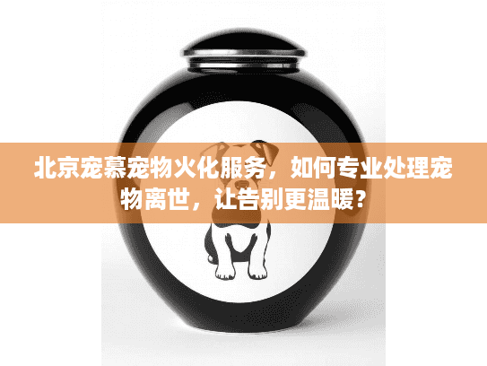 北京宠慕宠物火化服务，如何专业处理宠物离世，让告别更温暖？