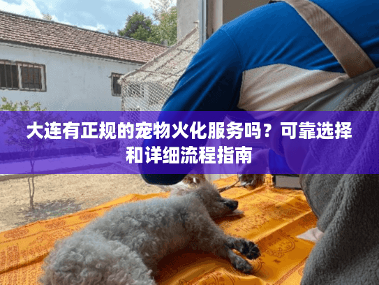 大连有正规的宠物火化服务吗？可靠选择和详细流程指南