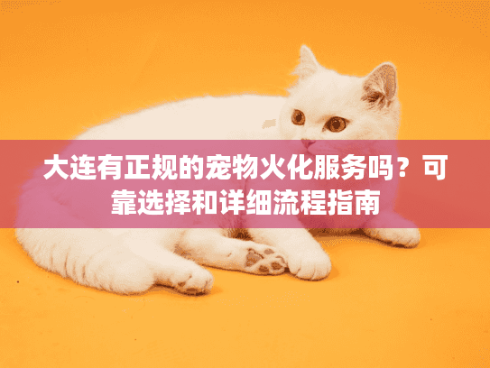 大连有正规的宠物火化服务吗？可靠选择和详细流程指南