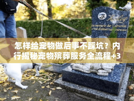 怎样给宠物做后事不踩坑？内行揭秘宠物殡葬服务全流程+3个关键注意点