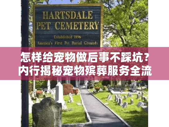 怎样给宠物做后事不踩坑？内行揭秘宠物殡葬服务全流程+3个关键注意点