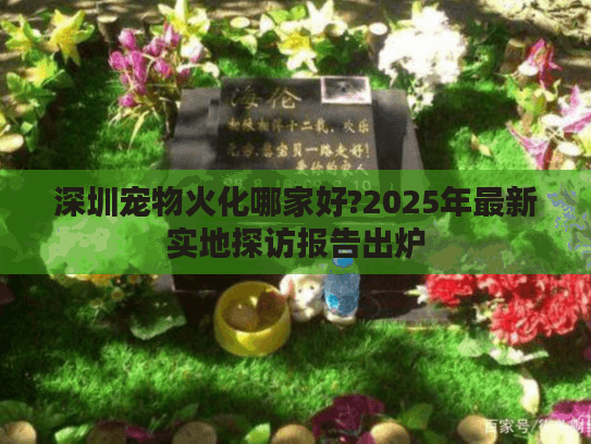 深圳宠物火化哪家好?2025年最新实地探访报告出炉