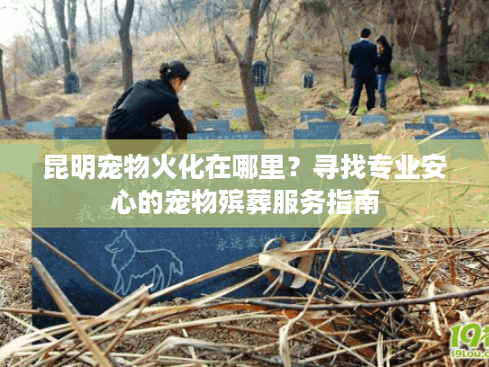 昆明宠物火化在哪里？寻找专业安心的宠物殡葬服务指南