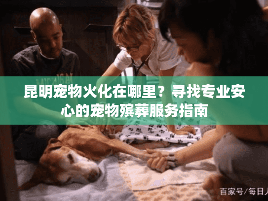 昆明宠物火化在哪里？寻找专业安心的宠物殡葬服务指南