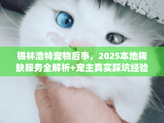 锡林浩特宠物后事，2025本地稀缺服务全解析+宠主真实踩坑经验