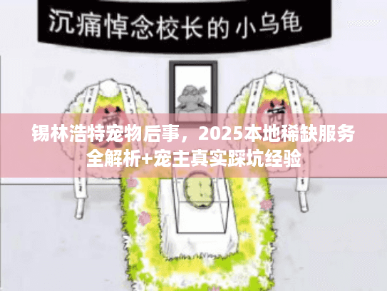 锡林浩特宠物后事，2025本地稀缺服务全解析+宠主真实踩坑经验