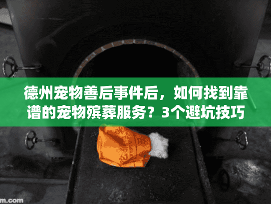德州宠物善后事件后，如何找到靠谱的宠物殡葬服务？3个避坑技巧少走弯路