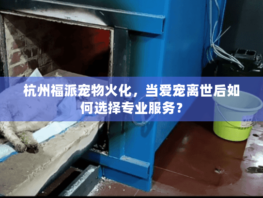 杭州福派宠物火化，当爱宠离世后如何选择专业服务？