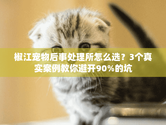 椒江宠物后事处理所怎么选？3个真实案例教你避开90%的坑