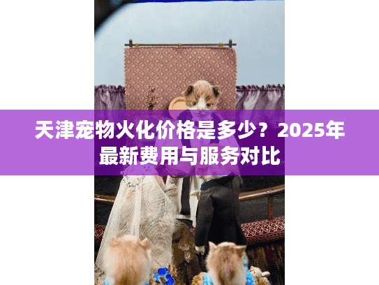 天津宠物火化价格是多少？2025年最新费用与服务对比