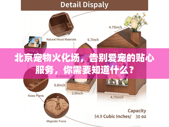 北京宠物火化场，告别爱宠的贴心服务，你需要知道什么？