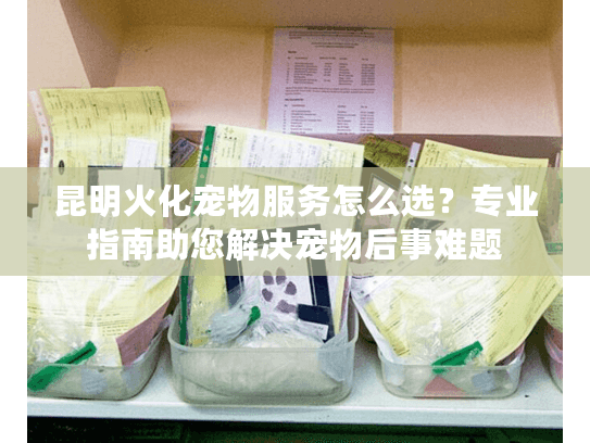 昆明火化宠物服务怎么选？专业指南助您解决宠物后事难题