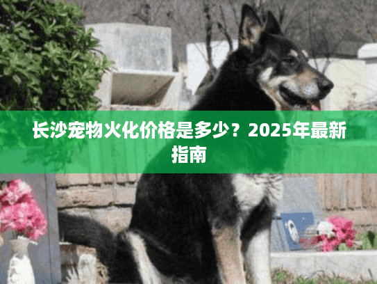 长沙宠物火化价格是多少？2025年最新指南