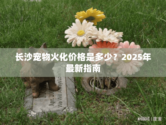 长沙宠物火化价格是多少？2025年最新指南