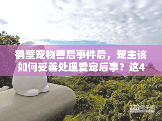 鹤壁宠物善后事件后,宠主该如何妥善处理爱宠后事?这4点很多人忽略 鹤壁宠物善后事件后,宠主该如何妥善处理爱宠后事?这4点很多人忽略