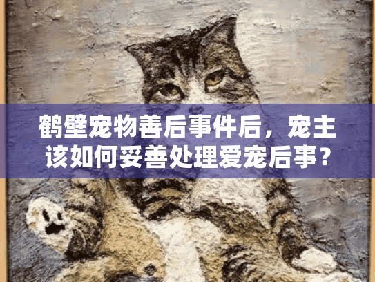 鹤壁宠物善后事件后,宠主该如何妥善处理爱宠后事?这4点很多人忽略 鹤壁宠物善后事件后,宠主该如何妥善处理爱宠后事?这4点很多人忽略