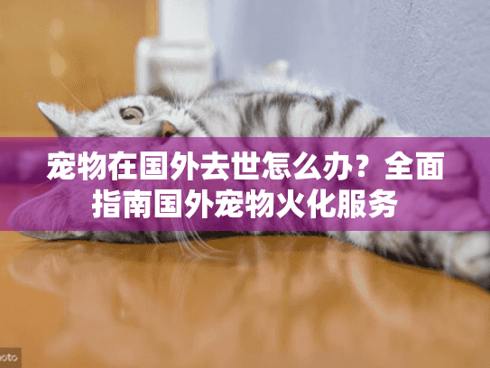 宠物在国外去世怎么办？全面指南国外宠物火化服务
