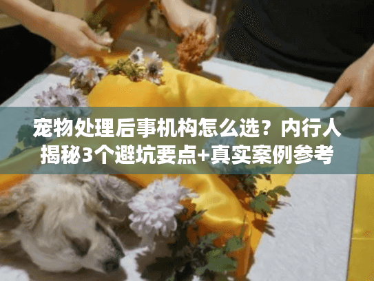 宠物处理后事机构怎么选？内行人揭秘3个避坑要点+真实案例参考