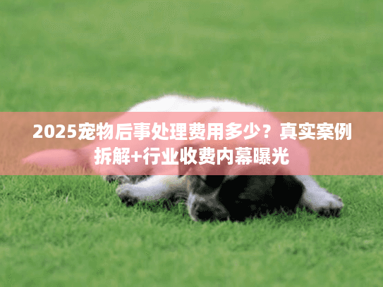 2025宠物后事处理费用多少？真实案例拆解+行业收费内幕曝光