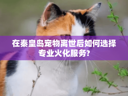 在秦皇岛宠物离世后如何选择专业火化服务?