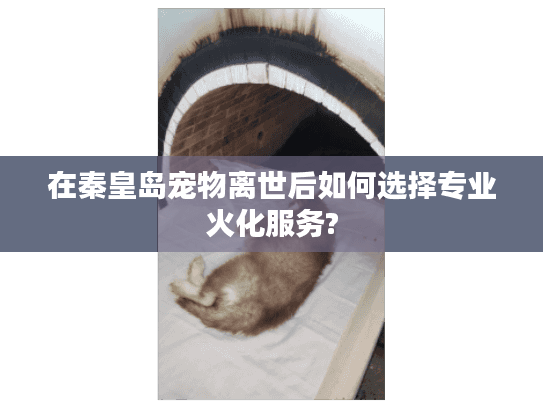 在秦皇岛宠物离世后如何选择专业火化服务?