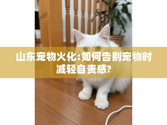 山东宠物火化:如何告别宠物时减轻自责感?