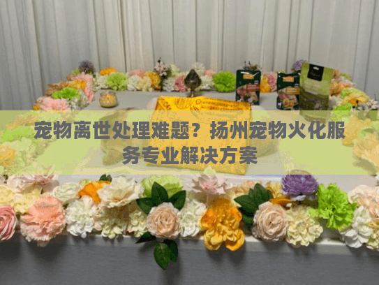 宠物离世处理难题？扬州宠物火化服务专业解决方案