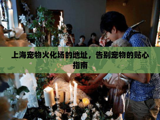 上海宠物火化场的地址，告别宠物的贴心指南