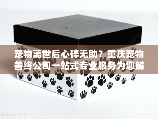 宠物离世后心碎无助？重庆宠物善终公司一站式专业服务为您解忧